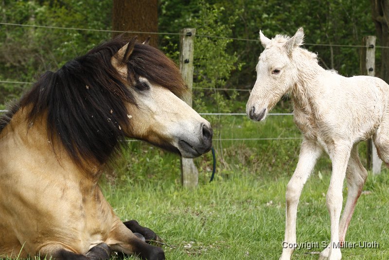 Hjoerdis 40 Min alt.JPG